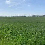 In Near The *