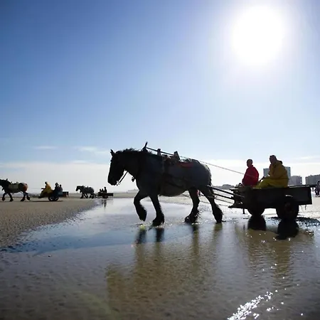 Daire In Near The Nieuwpoort