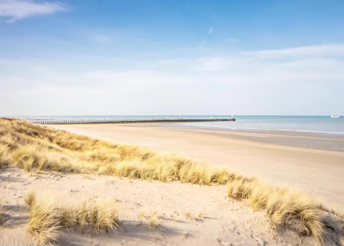 In Near The דירה ניופורט