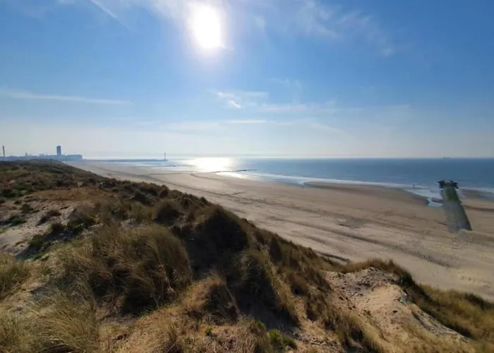 In Near The דירה ניופורט