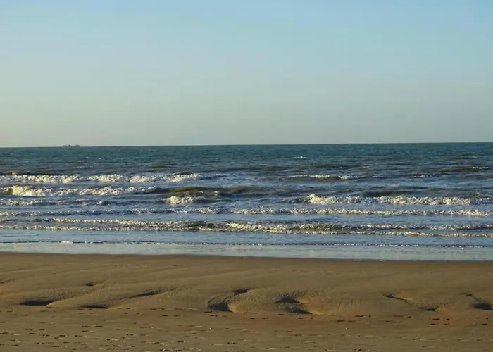 In Near The דירה