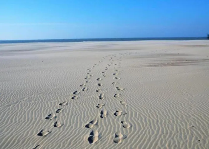 In Near The דירה