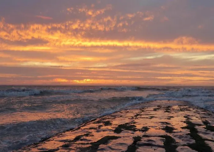 דירה In Near The