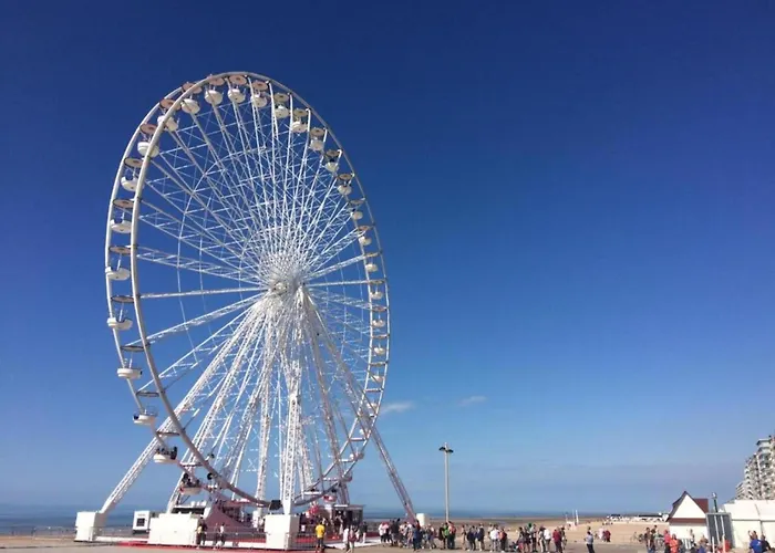 In Near The * ניופורט