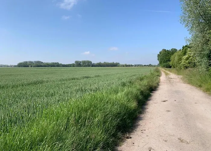 דירה In Near The