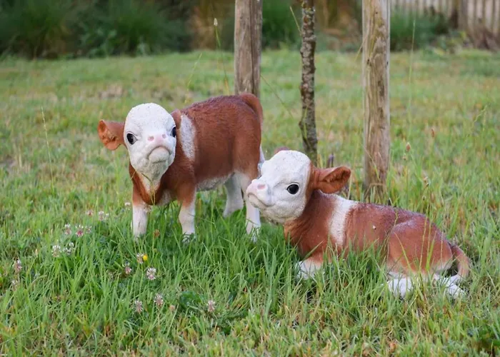 In Near The ניופורט